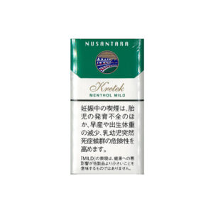 Gudang Garam Nusantara Menthol 🍂 ‣ Worldwide Shipping 🚀